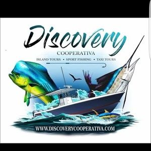 Meet your Posher, Louis